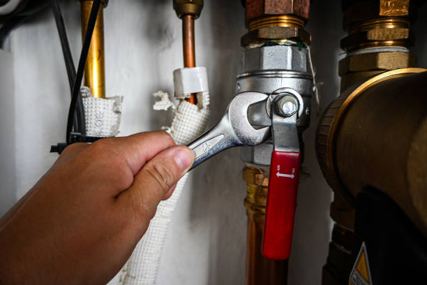 Best Clogged Drain Plumber  in Stanley, VA